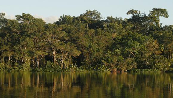 La región amazónica es fundamental para el planeta pues es considerada como un pulmón para el mundo, cuyo deterioro avanza sin control, al punto que Naciones Unidas la ha ubicado, junto a la Antártida, en un punto de entrada a una crisis "de no retorno" ambiental. (Foto: PABLO COZZAGLIO / AFP)