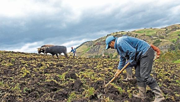 Campaña de siembra se podría seguir afectando en el segundo trimestre del presente año. (Foto: Andina)