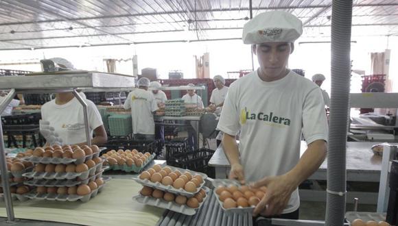 El 60% de los huevos de La Calera se destinan para la comercialización mayorista, un 20% para el canal moderno, mientras que el otro 20% se divide entre venta al sector industrial y distribuidores.