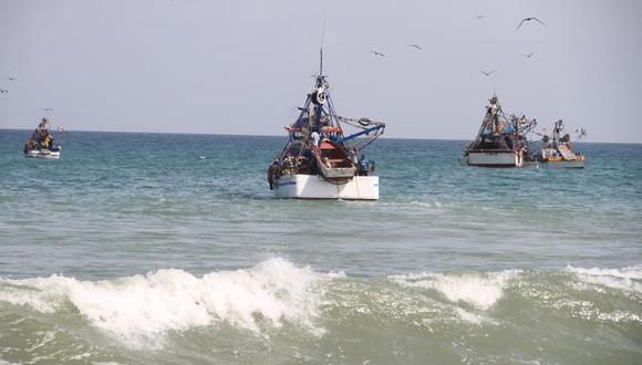 Imarpe presentará los resultados de la investigación al Despacho Viceministerial de Pesca y Acuicultura. (Foto: GEC)