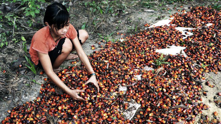 (Foto referencial: AFP)