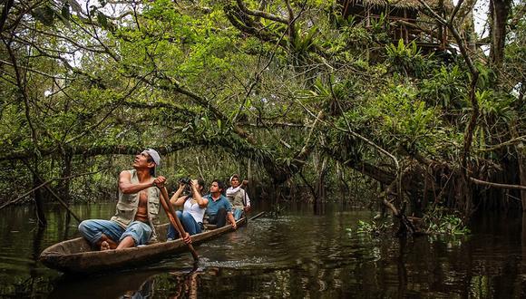 “Tingana” es una lección para los emprendedores turísticos debido a que trabajaron el cambio de enfoque sobre el aprovechamiento de los recursos forestales, pasando de depredadores de la selva a ser cuidadores de uno de los ecosistemas más fascinantes que existen en el mundo (Foto: Difusión).