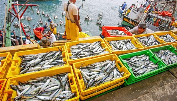 Según Macroconsult, la recuperación del sector de pesca se proyecta principalmente para la zona norte y no en el sur.