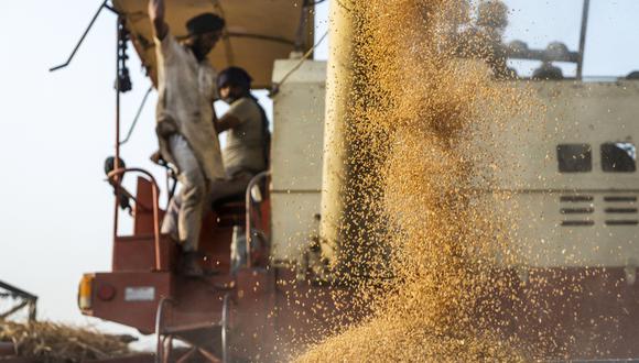 Un bushel de trigo (unos 27 kilos) para entrega en marzo del 2022 cayó 1.31% a US$ 8.0400 desde los US$ 8.1475 en el último cierre, el jueves antes de Navidad. (Foto: Difusión)