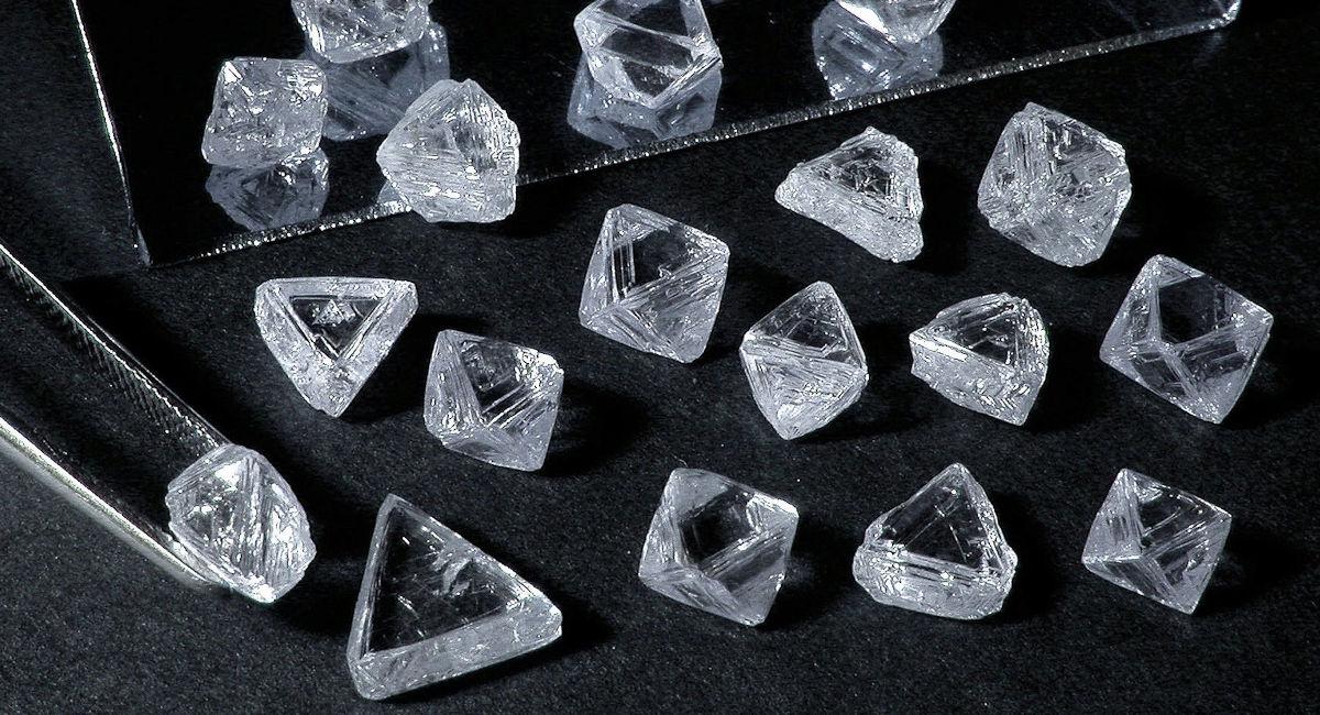 “La primera oportunidad, y la más fuerte, del sector para reequilibrar y recuperar el crecimiento será 2021”, dijo Bain, y agregó que la oferta podría caer un 8% ese año. Foto: Bloomberg