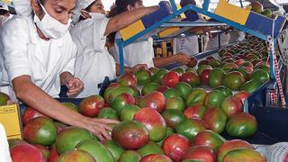 Agroindustriales en Piura apuntan ahora a clústeres de procesamiento 