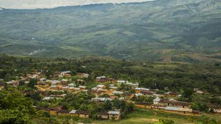 Temperaturas en la selva aumentarán: ¿a cuánto llegará y en qué regiones?