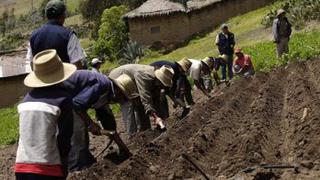 Agricultores peruanos apuntan al mercado italiano tras firma de convenio