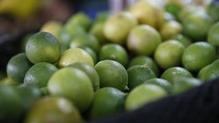 Falta de prevención en Ecuador incrementa riesgo de ingreso de plaga del limón al Perú