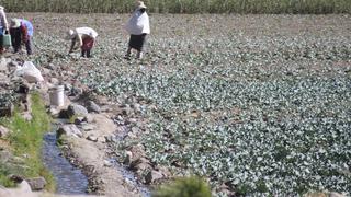 FAE-Agro: Ejecutivo amplía hasta el 30 de junio de 2021 el plazo para otorgar créditos a productores