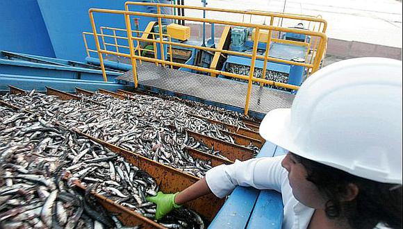 Produce prevé que la pesca industrial registrará un crecimiento de 58% este año. (Foto: USI)