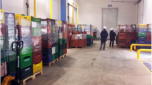 En la planta de congelados de Ransa Trujilllo trabajan unas 12 personas en horas del día y tres empleados en jornada de noche. (Foto: Wilfredo Huanachin)