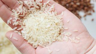 ¿Menos arroz?: producción caería 20% por falta de urea y mal clima