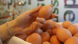 Producción nacional de huevo alcanzará las 400 mil toneladas este año