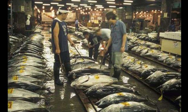 Fotos 8 | TSUKIJI FISH MARKET – TOKIO, JAPÓN. Lo primero que hay que decir de este lugar no es cualquier cosa: no hay otro mercado en el mundo que se pueda comparar al Tsukiji Fish Market de Tokio, que es de lejos el mercado de pescado más famoso del plan