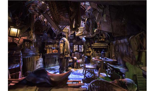 Interior de la cabaña de Hagrid.
