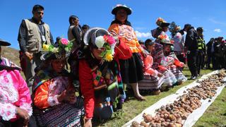 Promoverán la instalación de plantas procesadoras de papa en regiones productoras