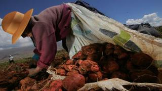 Gobierno lanza programa de US$ 180 millones para modernizar el agro