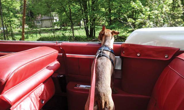 Por supuesto, hubo algunos desperfectos en el camino. Para arrancar el auto con el motor frío, hay que apretar el pedal algunas veces; para ir marcha atrás, se mueve la palanca de cambios sobre el volante hasta el extremo derecho; para manejar, se la llev