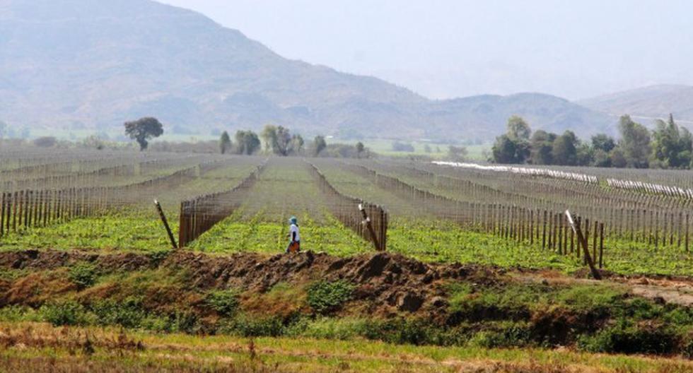 Finlandia, ejemplo de producción agrícola sostenible MUNDO GESTIÓN