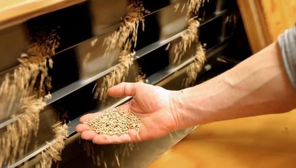El objetivo es buscar iniciativas “concretas” dirigidas a paliar la falta en el mercado del cereal y otras materias primas debido al bloqueo de los puertos de Ucrania, coloso global en la exportación de grano y también fertilizantes. Foto: EFE/EPA/Friedemann Vogel.