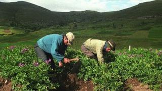 La producción agropecuaria registró en abril su menor avance mensual del 2013