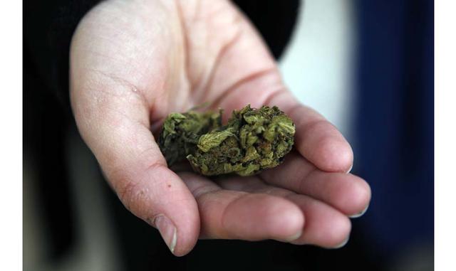 En este sentido, Blasina consideró que quienes quieren experimentar sensaciones más fuertes pueden recurrir a cualquiera de las otras dos vías que plantea la ley, que pese a ser excluyentes entre sí permiten a los usuarios una mayor libertad sobre el prod