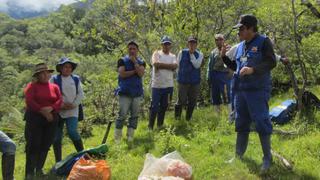 Agricultores de Junín exportan primer contenedor de paltas a Europa