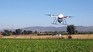 Uso de drones permitirá reducción de costos dentro del agro peruano