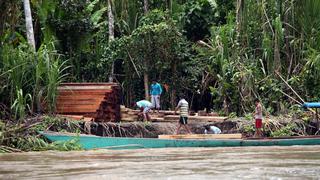 EE.UU. alega que Perú no está combatiendo la tala ilegal