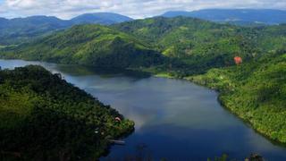 FAO recomienda mejorar los marcos normativos para potenciar a los pequeños productores forestales