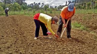Contraloría: Agricultores serían perjudicados por reducción de abastecimiento de agua