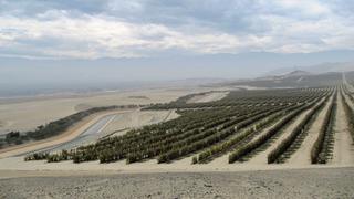 El valor de la tierra en Perú y Chile: la tendencia de precios en las áreas agrícolas 