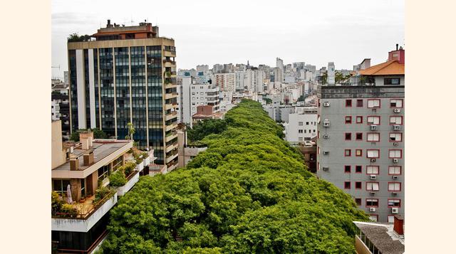 Rua Gonçalo de Carvalho (Porto Alegre, Brasil). Esta calle, en la que parece que podemos caminar sobre las copas de los árboles y no por debajo, lucha por ser la más bonita del mundo. Y lo está consiguiendo. Situada en Porto Alegre, capital del Estado de 
