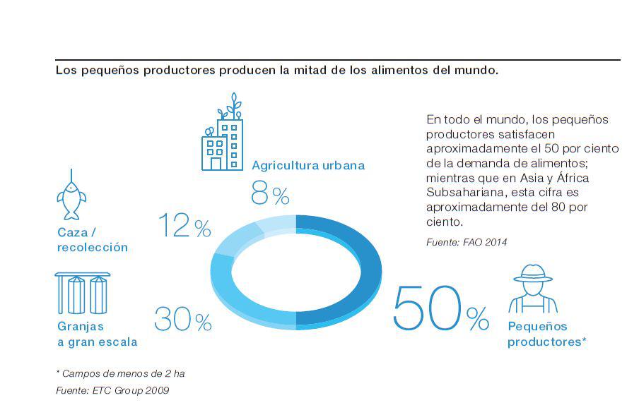 (Fuente: El Futuro de la Agricultura y los Alimentos de Bayer)