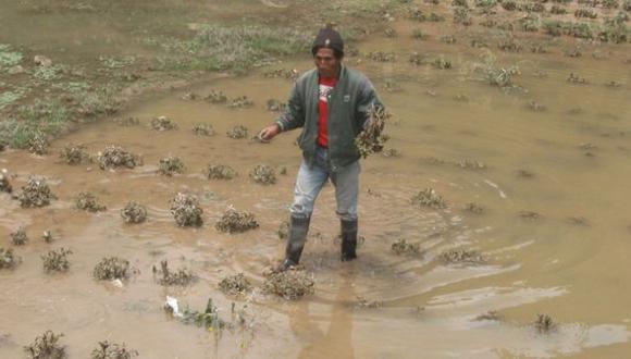 Lluvias intensas afectaron sembríos de agricultores de algunos distritos de Cajamarca.(Foto: Andina)