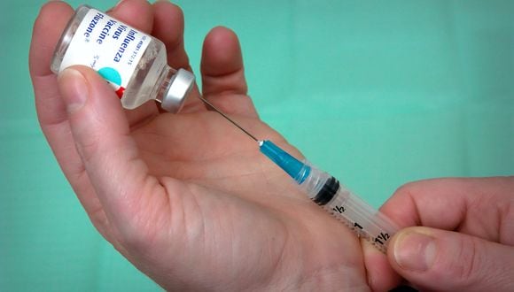 El presidente Martn Vizcarra haba anunciado el ltimo jueves que los ensayos clnicos de esta vacuna iniciaran el lunes 24 de agosto. (Foto: Pixabay)