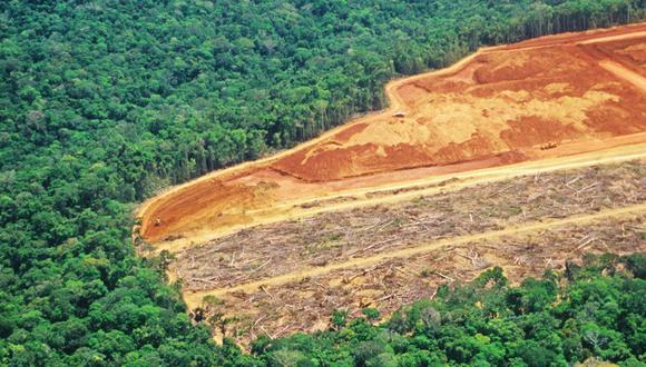Desde la llegada al poder en el 2019 del presidente ultraderechista Jair Bolsonaro, la deforestación anual media de la Amazonía brasileña aumentó más del 75% respecto a la década anterior. (Foto: Difusión)