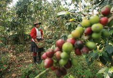 Agrobanco:Pequeños agricultores piden su reactivación para financiar abonamiento y cosechas