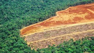 Alertas de deforestación en Amazonía brasileña rompen nuevo récord en abril