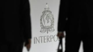 ¿Qué es la Interpol y qué labor cumple?