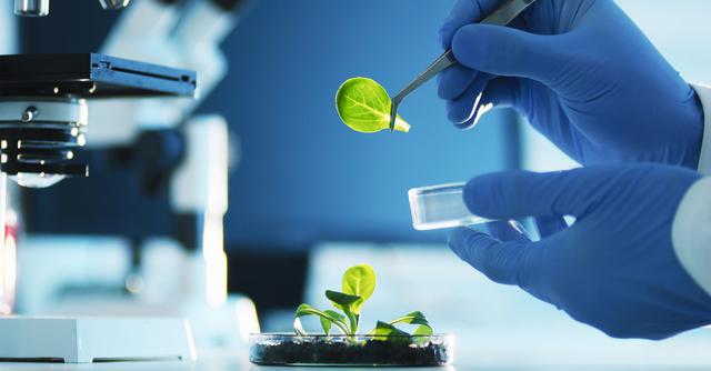 FOTO 9 | 9. Biohacking (Foto: iStock)