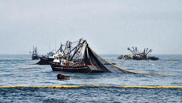 Efluentes. Las empresas pesqueras no tienen dónde evacuarlos, sostiene Milanovitch. (Foto: GEC)