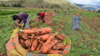 Producción agropecuaria solo creció 4.3% entre enero-abril, informó Minagri