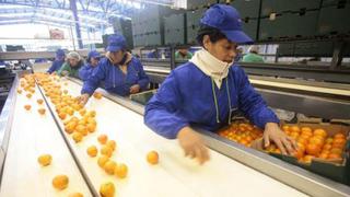 Paros portuarios y envíos de baja calidad afectan imagen de Chile como exportador de frutas