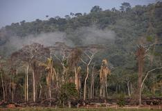 Degradación de Amazonía crece entre disputas laborales y El Niño
