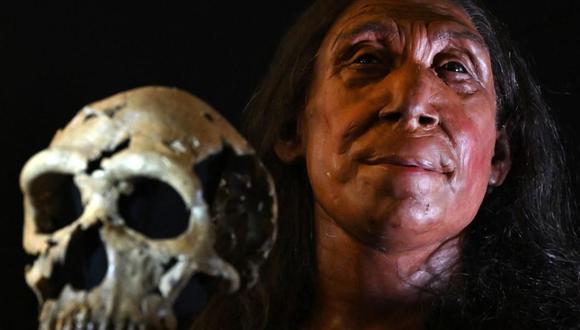 Una imagen muestra el cráneo reconstruido y una reconstrucción física de la cara y la cabeza, de una mujer neandertal de 75,000 años de edad, llamada Shanidar Z. | Foto: AFP