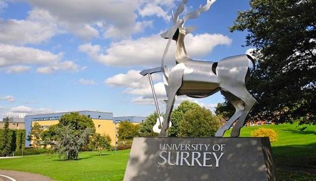 FOTO | La edición 2018 del prestigioso Academic Ranking Of World Universities (ARWU), en su medición por disciplinas, posicionó a una universidad de Hong Kong como líder mundial en el área de Turismo y Hotelería. (Foto: Pixabay)