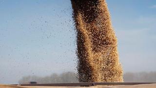 Rescate de gigante mundial de soja Vicentin en riesgo de colapso