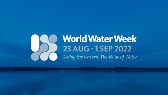 “En 2022 el problema del agua no es aplicable solo a una determinada población”, ha señalado por su parte la analista de Unión Africana Hafsa Malim, quien ha lamentado que ahora “no es necesario vivir en una zona árida o semiárida para tener problemas de escasez de agua”. Foto: World Water Week